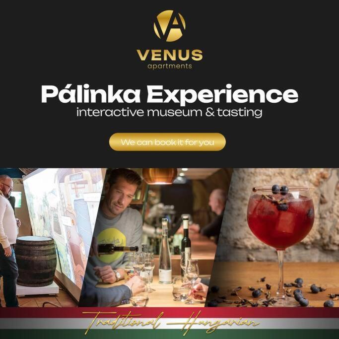 Venus Apartments - The Actor'S Den Budapeszt Zewnętrze zdjęcie